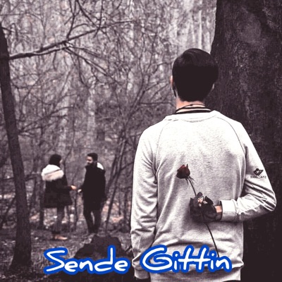 DeLi ŞaiR - Sende Gittin, Duygusal Fon Müziği (Instrumantal)
