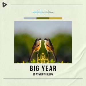 Big Year