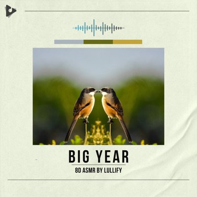 Big Year