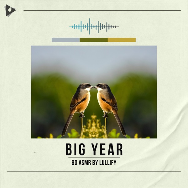 Big Year
