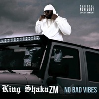 No Bad Vibes - Single - King Shaka ZM