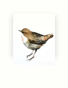 Dengarkan Ville, tonton video musik, baca bio, lihat tanggal tur & lainnya!