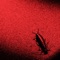 Dermaptera - Giant Bird lyrics