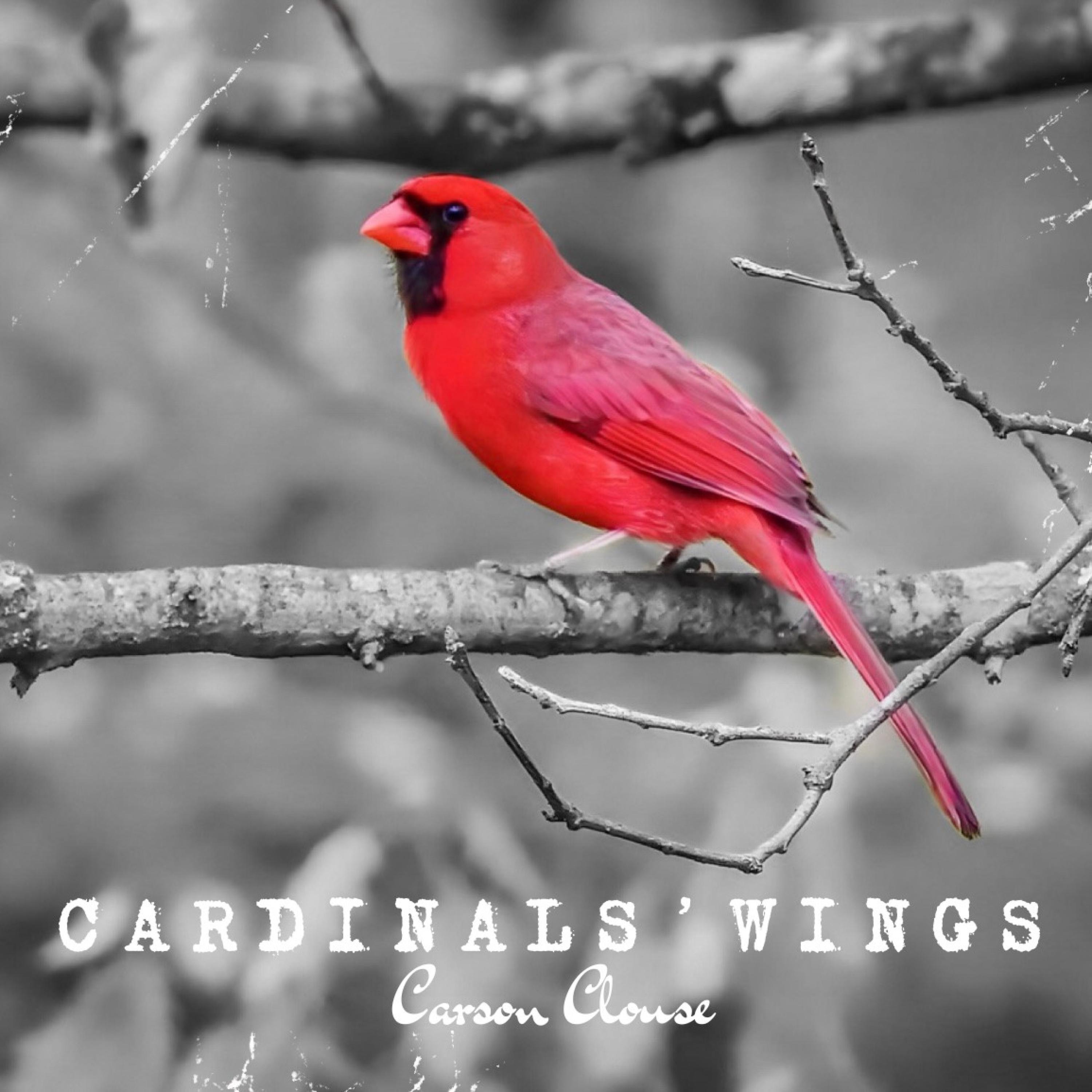 Cardinals' Wings - Single