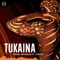 Tukaina (feat. Ayrosh) - Frigid Armadillo lyrics