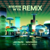 WYA Remix (feat. pH-1, 刘柏辛Lexie, ØZI & 马思唯) artwork