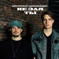 Не зая ты - Single - Дима Пермяков & Андрей Нестеренко