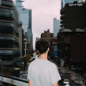 fight or flight - Single