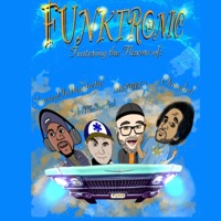 Funktronic (feat. INSMNC, Onwuka & S.I.N.) - Single - DannyCan the Mix Medic