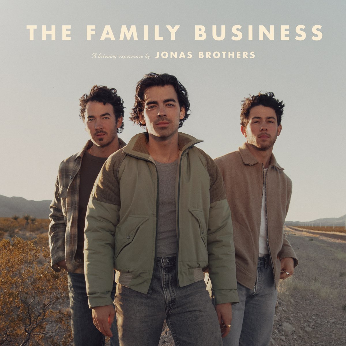 ‎The Family Business Album by Jonas Brothers Apple Music