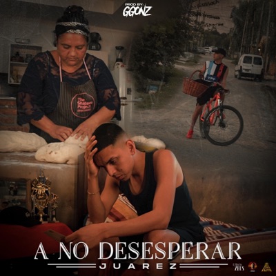 A No Desesperar - Single