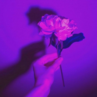 What You Need (feat. Lord Rogue) - Single