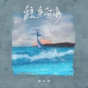 鲸鱼向海 - Single