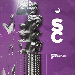 Sense Compilation 01 (feat. Eloustik Tok feat.Granplus)