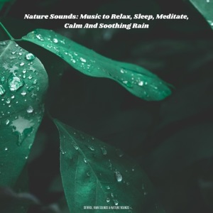 Nature Sounds: Music to Relax, Sleep, Meditate, Calm and Soothing Rain