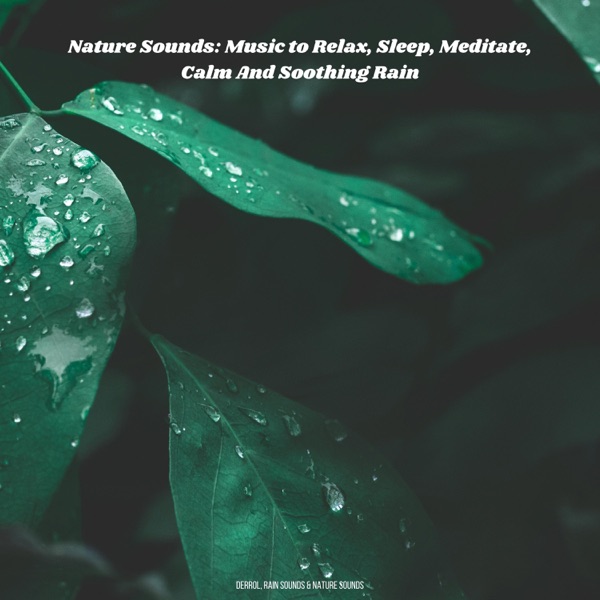 Nature Sounds: Music to Relax, Sleep, Meditate, Calm and Soothing Rain