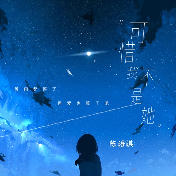 可惜我不是她 - Single