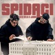 Spidaci Single