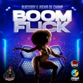 Boom Flick (feat. Boogy Rankss) artwork