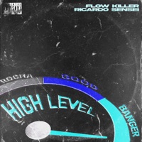 High Level - Single - Flow Killer & Ricardo Sensei