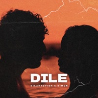 Dile (feat. DIM0N) - Single - Dilantovish