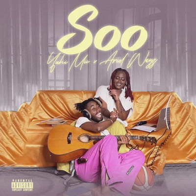 Soo (feat. Ariel Wayz) [Remix] - Single