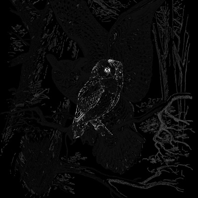 Night Owl Special (feat. No Limit Creation) - Single