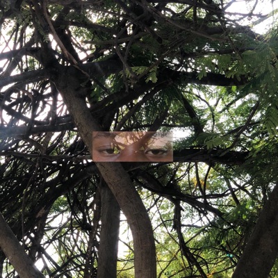 Love Being Used - Single