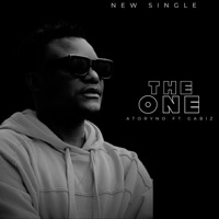 The One (feat. Gabiz) - Single - Atoryno