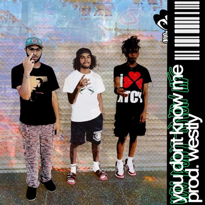 You Don't Know Me (feat. BoofPaxkMooky, 1600J & RealYungPhil) - Single