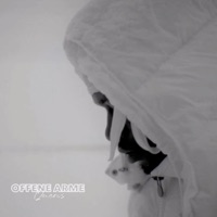 Offene Arme - Single - Queris