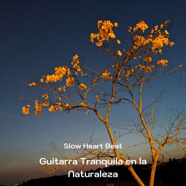 Guitarra Tranquila en la Naturaleza - EP
