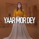 Yaar Mod De Single