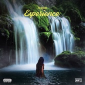 Experience artwork