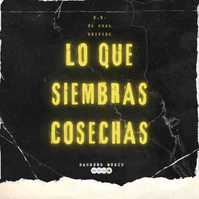 LO QUE SIEMBRAS COSECHAS (feat. Deivi-C) - Single