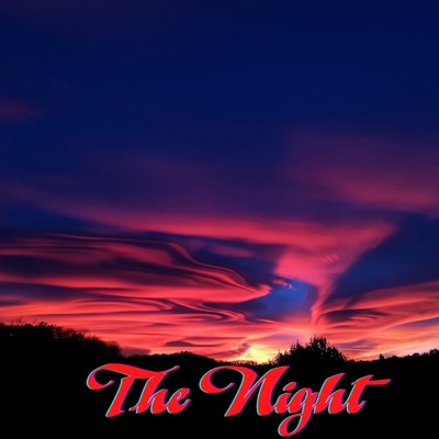 The Night (Remix) - Single
