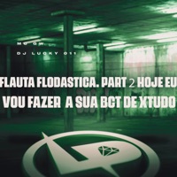 Flauta Flodastica Hoje Eu Vou Fazer a Sua Bct de Xtudo, Pt. 2 - Single - MC GW & DJ LUCKY 011