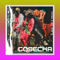 Cosecha - Single - R Nova & RL y Vanessa