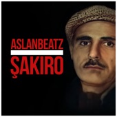 Şakiro artwork