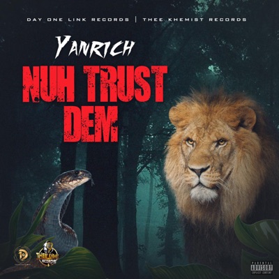 Nuh Trust Dem - Single