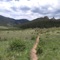 Life Is Precious - Donn Garrison lyrics