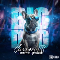 Big Dog (feat. J Money & Bossman) [official audio] - Single - $eminary Tiff