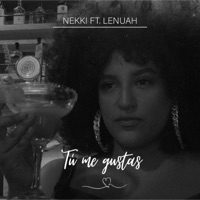 Tú me gustas (feat. Lenuah) - Single - Nekki