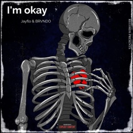 I'm okay (feat. BRVNDO) JayFlo