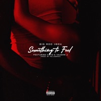 Something to feel (feat. Cato & Vaughn J) - Single - Big Rod 1804