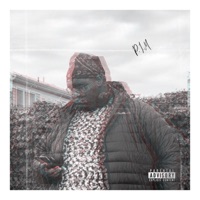 P.I.M (Poetry in Motion) - Single - D-Andre