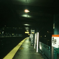 Charlie Kelly (feat. Ben Beal) - Single - looking at birds