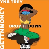Drop it down (feat. Ynb trey) - Single - Gettnmoney