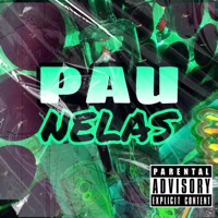 Pau Nelas - Single - Surfista, MC Zika Dre, Mc Zk & DJ PAMPINHO