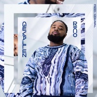 Gevallen - Single - Riico